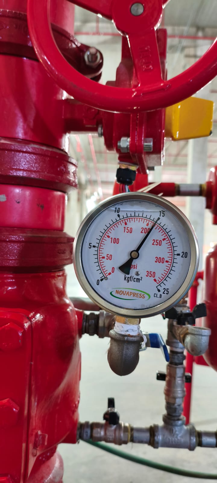 ODATA ANHANGUERA (6)