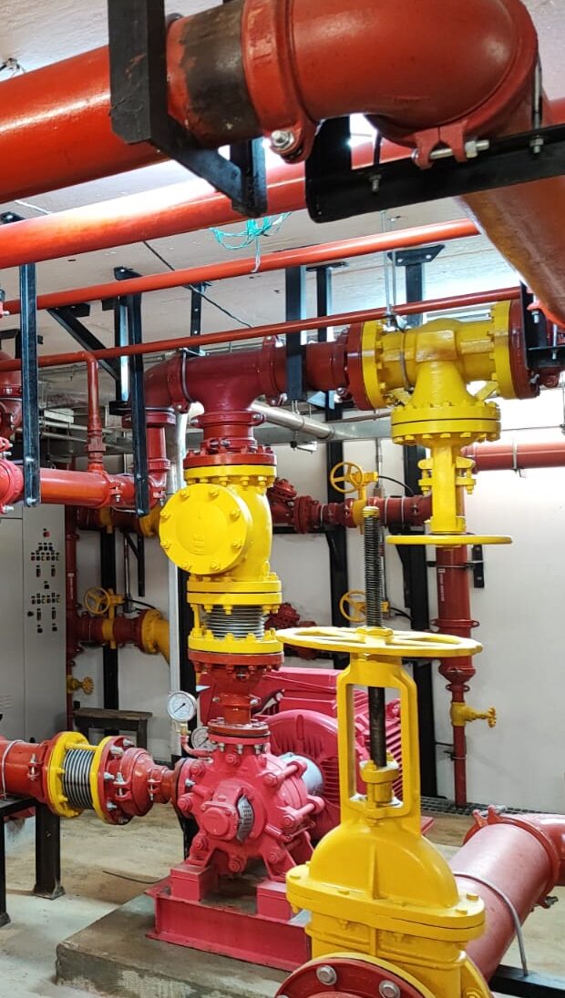 PASSEIO PAULISTA (6)